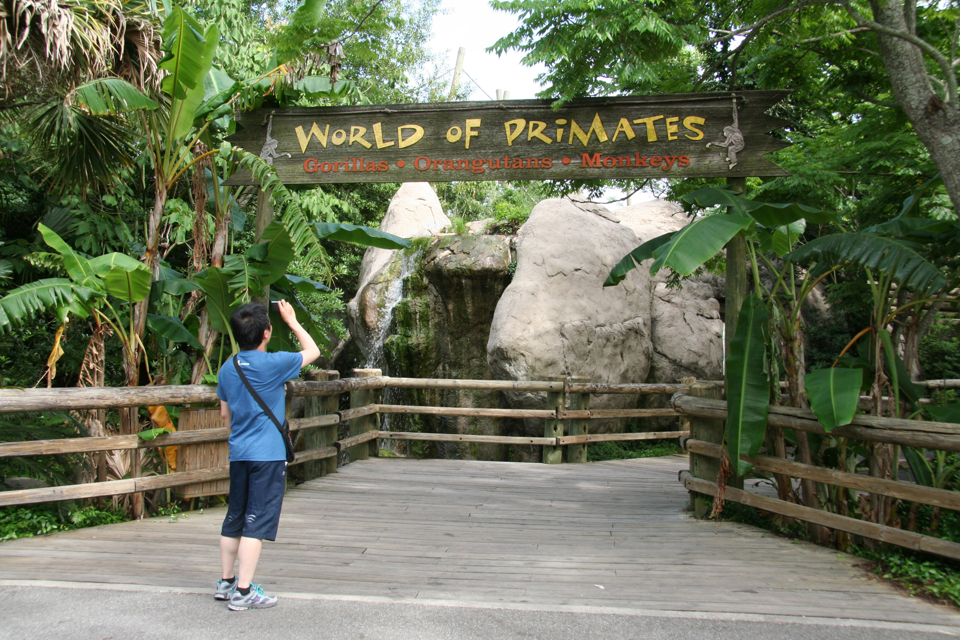 Eingang zur Primaten-Welt/entrance to World of Primates